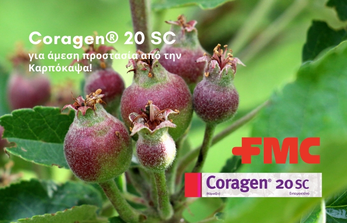 Coragen® 20SC για άμεση προστασία από την Καρπόκαψα!