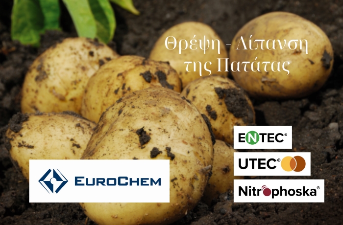 Θρέψη – Λίπανση της Πατάτας με λιπάσματα EUROCHEM