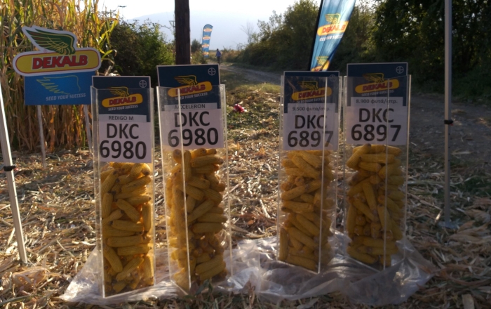 Field Day για το πακέτο λύσεων των καλαμποκιών DEKALB, σε Τρίκαλα, Σέρρες, Γιαννιτσά