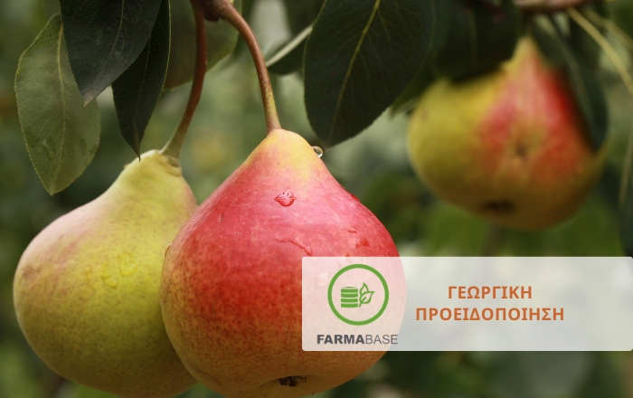 &Mu;&eta;&lambda;&omicron;&epsilon;&iota;&delta;ή: &Omicron;&iota; &tau;&rho;&epsilon;&iota;&sigmaf; &sigma;&eta;&mu;&alpha;&nu;&tau;&iota;&kappa;ό&tau;&epsilon;&rho;&epsilon;&sigmaf; &alpha;&sigma;&theta;έ&nu;&epsilon;&iota;&epsilon;&sigmaf; &gamma;&iota;&alpha; &tau;&omicron;&nu; &Iota;&omicron;ύ&lambda;&iota;&omicron;