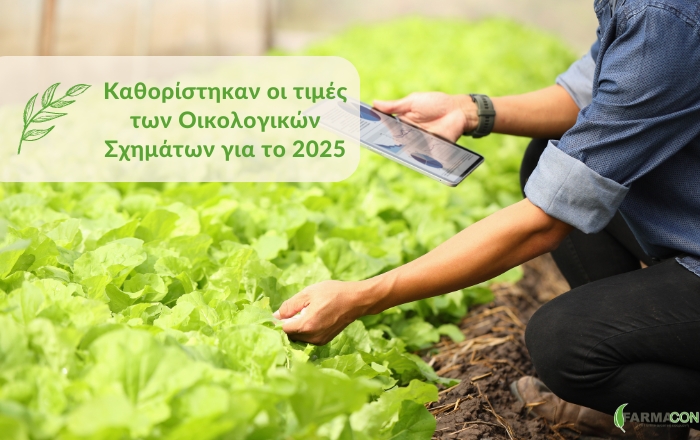 &Kappa;&alpha;&theta;&omicron;&rho;ί&sigma;&tau;&eta;&kappa;&alpha;&nu; &omicron;&iota; &tau;&iota;&mu;έ&sigmaf; &tau;&omega;&nu; &Omicron;&iota;&kappa;&omicron;&lambda;&omicron;&gamma;&iota;&kappa;ώ&nu; &Sigma;&chi;&eta;&mu;ά&tau;&omega;&nu; &gamma;&iota;&alpha; &tau;&omicron; 2025