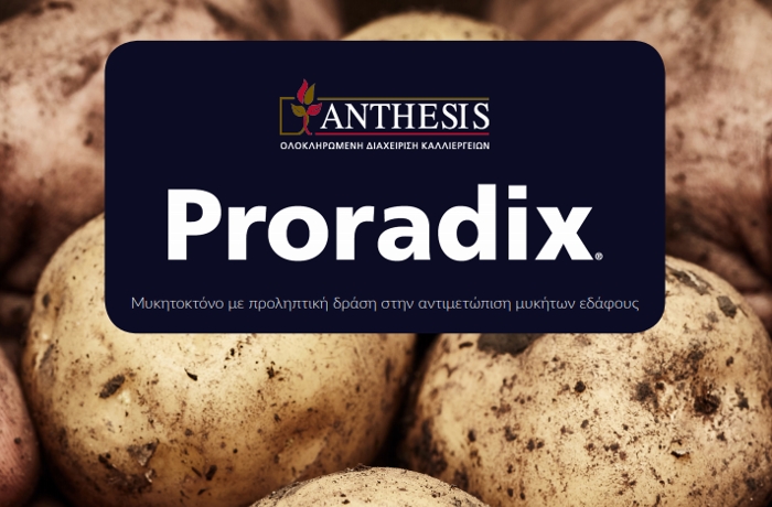 Proradix – Μυκητοκτόνο με προληπτική δράση στην αντιμετώπιση μυκήτων εδάφους