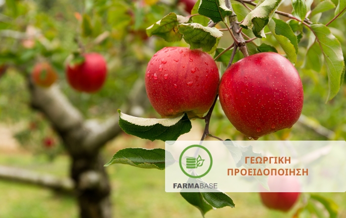 &Mu;&eta;&lambda;&omicron;&epsilon;&iota;&delta;ή: &Chi;&epsilon;&iota;&mu;&epsilon;&rho;&iota;&nu;έ&sigmaf; &pi;&rho;&alpha;&kappa;&tau;&iota;&kappa;έ&sigmaf; &phi;&upsilon;&tau;&omicron;&pi;&rho;&omicron;&sigma;&tau;&alpha;&sigma;ί&alpha;&sigmaf; &sigma;&epsilon; &Mu;&eta;&lambda;&iota;ά &kappa;&alpha;&iota; &Alpha;&chi;&lambda;&alpha;&delta;&iota;ά