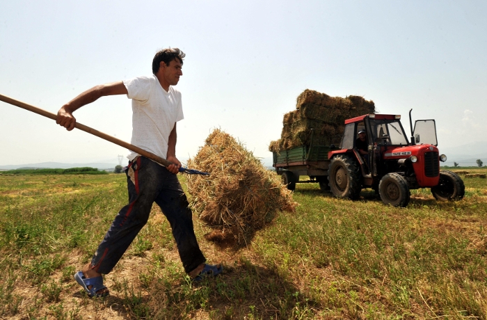 Διευκρινίσεις: Πως φορολογούνται οι κατ&#039; επάγγελμα αγρότες