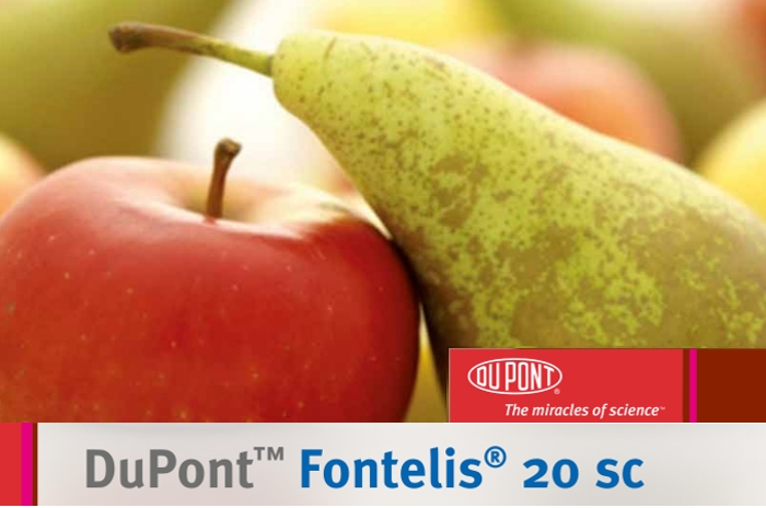 Fontelis® 20SC : Η λύση για το φουζικλάδιο, ωίδιο, βοτρύτη