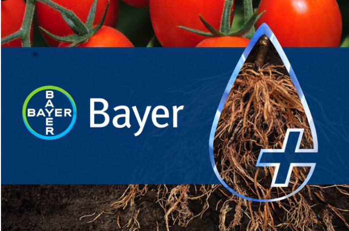 H Bayer υποστηρίζει τους παραγωγούς με μία ευρεία γκάμα ολοκληρωμένων αγρονομικών λύσεων