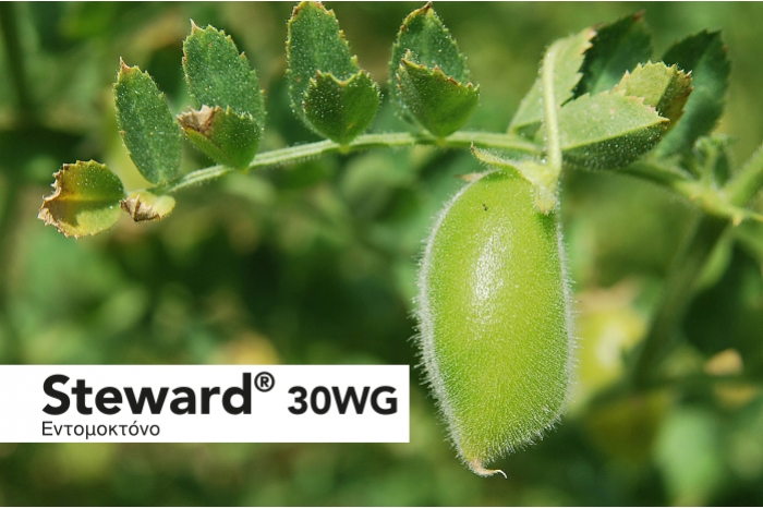 Έγκριση 120 ημερών για το Steward 30WG της FMC, στα Ρεβύθια για το Πράσινο Σκουλήκι