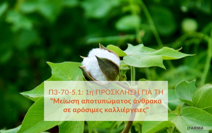 &Pi;3-70-5.1: &Tau;&iota; &pi;&rho;&omicron;&beta;&lambda;έ&pi;&epsilon;&iota; &eta; 1&eta; &pi;&rho;ό&sigma;&kappa;&lambda;&eta;&sigma;&eta; &gamma;&iota;&alpha; &tau;&eta; "&Mu;&epsilon;ί&omega;&sigma;&eta; &alpha;&pi;&omicron;&tau;&upsilon;&pi;ώ&mu;&alpha;&tau;&omicron;&sigmaf; ά&nu;&theta;&rho;&alpha;&kappa;&alpha; &sigma;&epsilon; &alpha;&rho;ό&sigma;&iota;&mu;&epsilon;&sigmaf; &kappa;&alpha;&lambda;&lambda;&iota;έ&rho;&gamma;&epsilon;&iota;&epsilon;&sigmaf;"