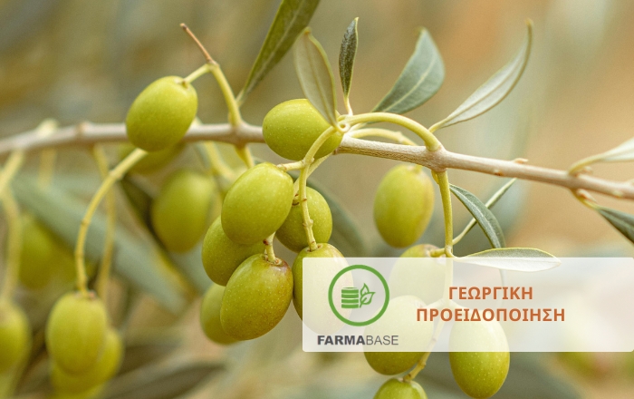 &Epsilon;&lambda;&iota;ά: &Phi;&upsilon;&tau;&omicron;&pi;&rho;&omicron;&sigma;&tau;&alpha;&sigma;ί&alpha; &kappa;&alpha;&tau;ά &tau;&eta;&nu; &kappa;&alpha;&rho;&pi;ό&delta;&epsilon;&sigma;&eta; &sigma;&epsilon; ό&psi;&iota;&mu;&epsilon;&sigmaf; &pi;&epsilon;&rho;&iota;&omicron;&chi;έ&sigmaf;