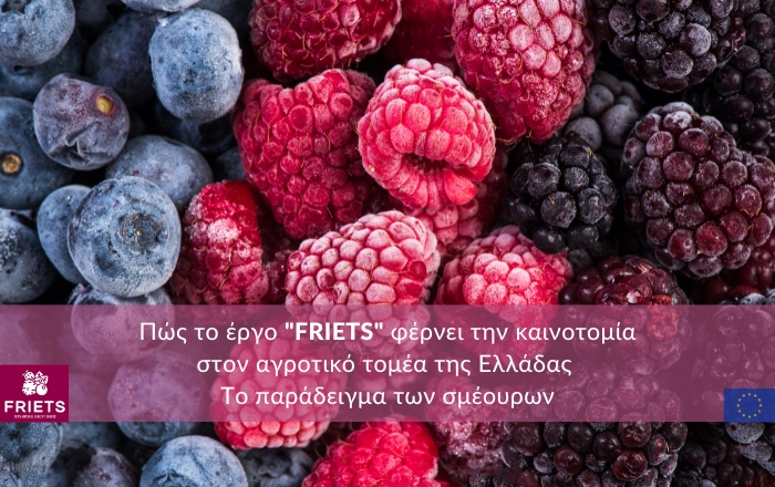 Πώς το έργο &quot;FRIETS&quot; φέρνει την καινοτομία στον αγροτικό τομέα της Ελλάδας - Το παράδειγμα των σμέουρων