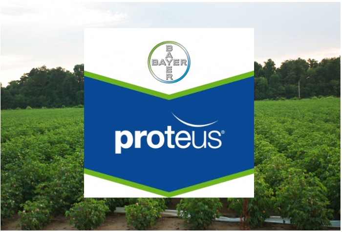 Proteus 170 OD -  Η πρόταση της BAYER για το πράσινο &amp; ρόδινο σκουλήκι