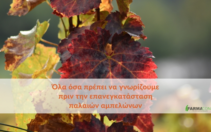 Ό&lambda;&alpha; ό&sigma;&alpha; &pi;&rho;έ&pi;&epsilon;&iota; &nu;&alpha; &gamma;&nu;&omega;&rho;ί&zeta;&omicron;&upsilon;&mu;&epsilon; &pi;&rho;&iota;&nu; &tau;&eta;&nu; &epsilon;&pi;&alpha;&nu;&epsilon;&gamma;&kappa;&alpha;&tau;ά&sigma;&tau;&alpha;&sigma;&eta; &pi;&alpha;&lambda;&alpha;&iota;ώ&nu; &alpha;&mu;&pi;&epsilon;&lambda;ώ&nu;&omega;&nu;