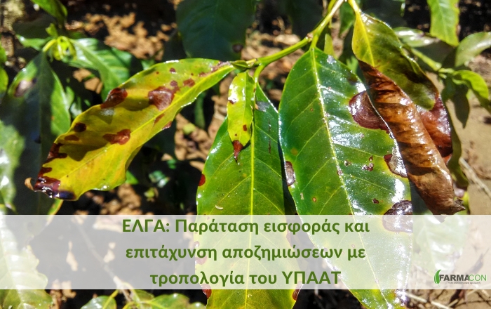 ΕΛΓΑ: Παράταση εισφοράς και επιτάχυνση αποζημιώσεων με τροπολογία του ΥΠΑΑΤ