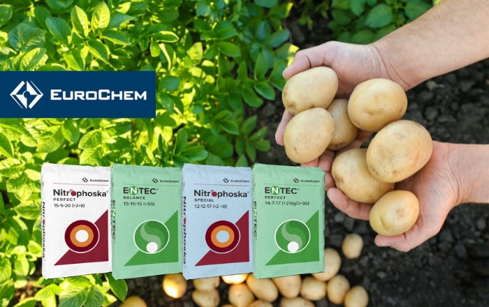 Βασική λίπανση πατάτας με τα λιπάσματα ENTEC® και Nitrophoska® της EuroChem