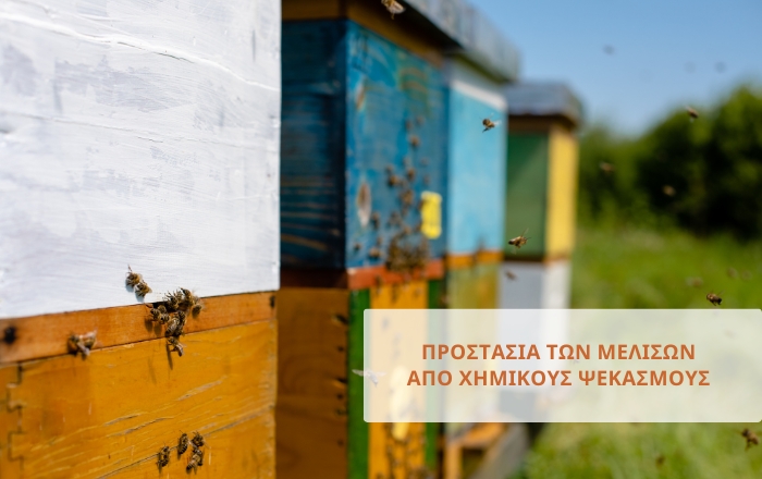 Οδηγίες για τη προστασία των μελισσών από χημικούς ψεκασμούς