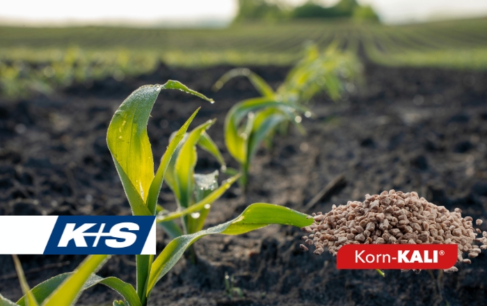 Korn-KALI® – Το Πολυεγραλείο