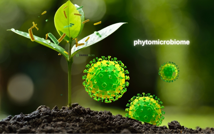 Μικροβίωμα - Τα οφέλη στην ανάπτυξη των φυτών