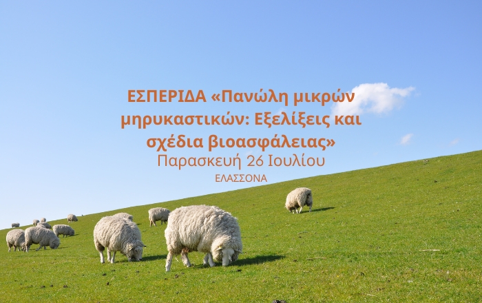 Πανώλη αιγοπροβάτων: Εκδήλωση ενημέρωσης κτηνοτρόφων την Παρασκευή στην Ελασσόνα