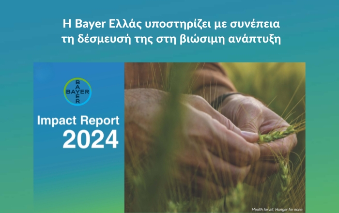 Impact Report 2024: Η Bayer Ελλάς υποστηρίζει με συνέπεια τη δέσμευσή της στη βιώσιμη ανάπτυξη