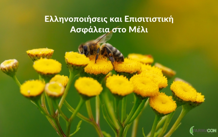 Ελληνοποιήσεις και Επισιτιστική Ασφάλεια στο Μέλι