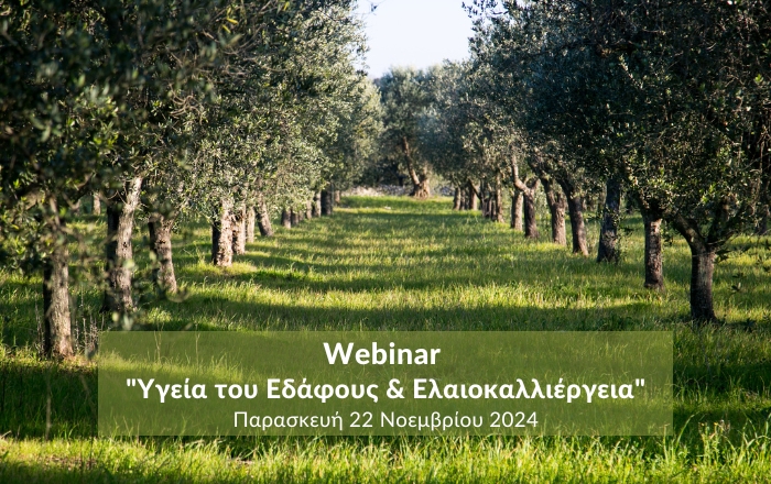 Webinar για την 