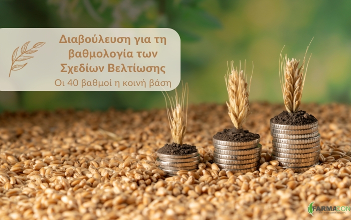 Διαβούλευση για τη βαθμολογία των Σχεδίων Βελτίωσης: Οι 40 βαθμοί η κοινή βάση