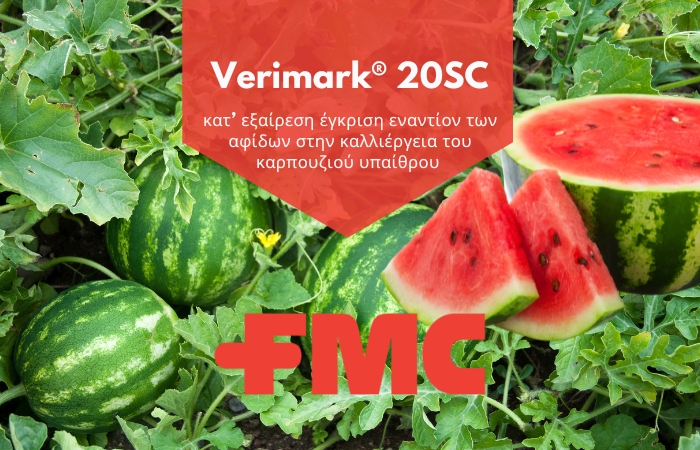 Verimark® 20SC | κατ’ εξαίρεση έγκριση εναντίον των αφίδων στην καλλιέργεια του καρπουζιού υπαίθρου