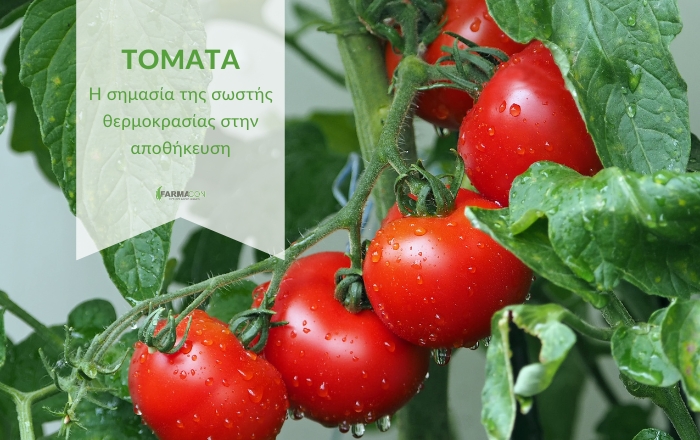 Πόσο 