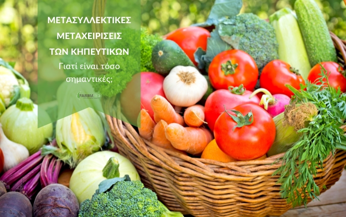 Μετασυλλεκτικές μεταχειρίσεις των κηπευτικών: γιατί είναι τόσο σημαντικές;