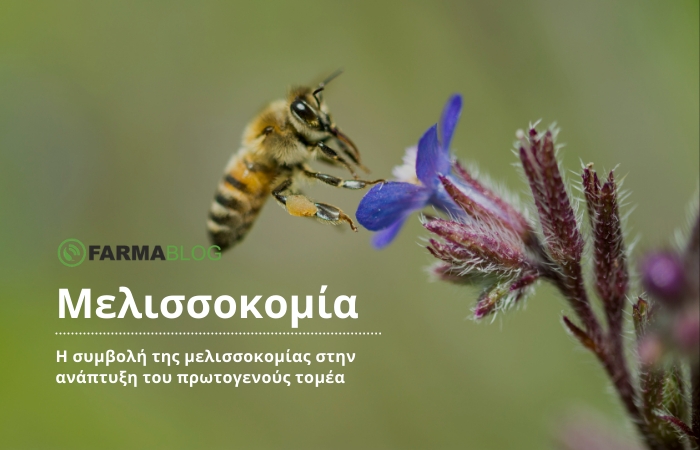 Η συμβολή της μελισσοκομίας στην ανάπτυξη του πρωτογενούς τομέα