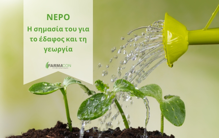 Το νερό και η σημασία του για το έδαφος και τη γεωργία