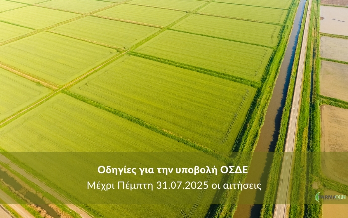 Οδηγίες για την Υποβολή της Ενιαίας Αίτησης Ενίσχυσης (ΟΣΔΕ) 2025