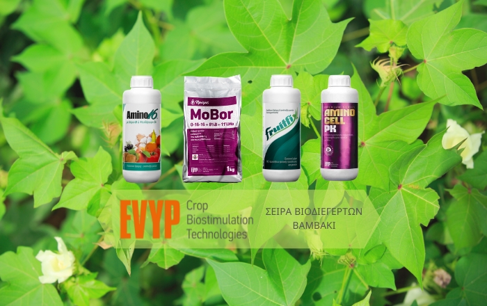 Εφαρμογές Βιοδιεγερτών Amino 16® στο Βαμβάκι!