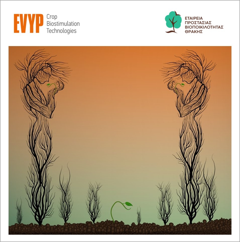 Η συνεισφορά της EBYΠ για την αναβίωση του δάσους Δαδιάς στα πλαίσια της έκθεσης Agrotica
