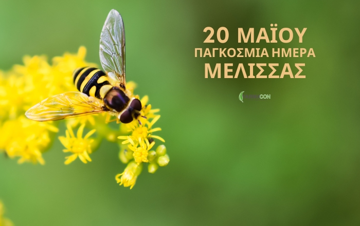 20 Μαΐου Παγκόσμια Ημέρα Μέλισσας
