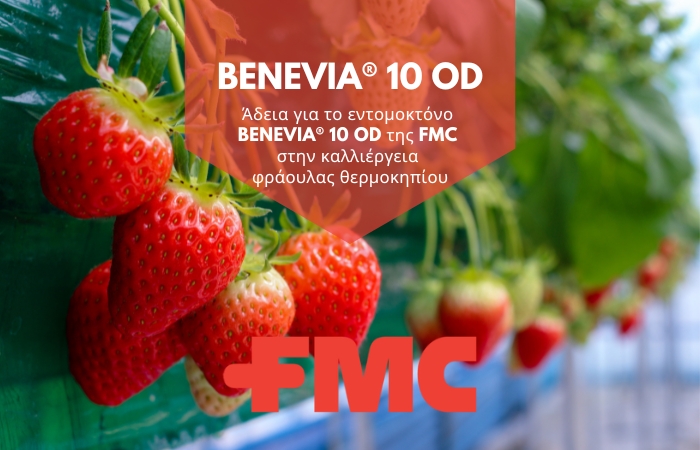 Άδεια για το εντομοκτόνο BENEVIA® 10 OD της FMC στην καλλιέργεια φράουλας θερμοκηπίου