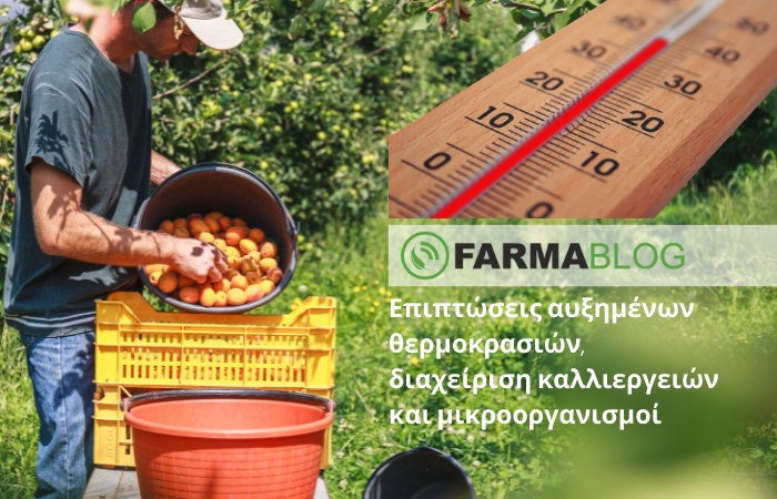 Επιπτώσεις αυξημένων θερμοκρασιών, διαχείριση καλλιεργειών και μικροοργανισμοί